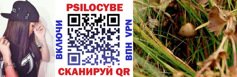 mega ССЫЛКА Зубцов Галлюциногенные грибы GOLDEN TEACHER